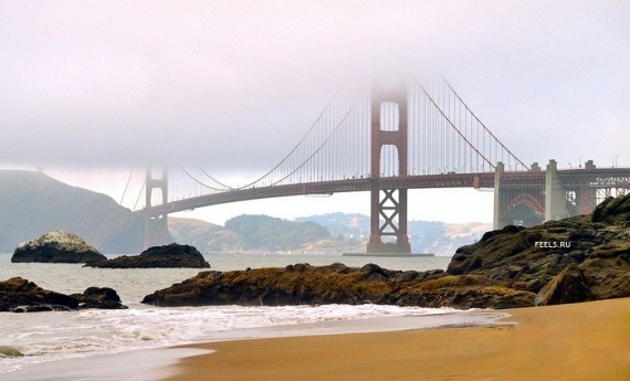 golden gate bridge cartoon. Golden Gate Bridge