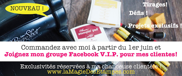 pub groupe facebook V.I.P. pour mes clientes