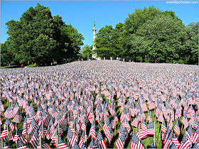 Banderas de Estados Unidos en el Boston Common por Memorial Day
