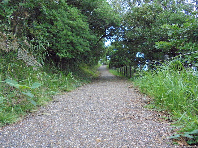 荒磯遊歩道