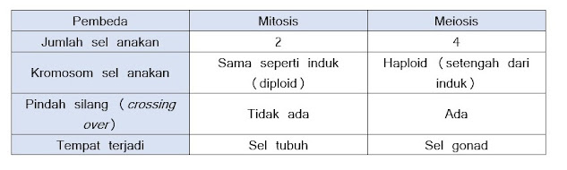 Perbedaan Mitosis dan Meiosis