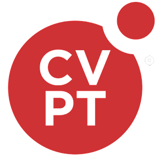 Retention analyst Officer Job at CVPeople Tanzania 2023