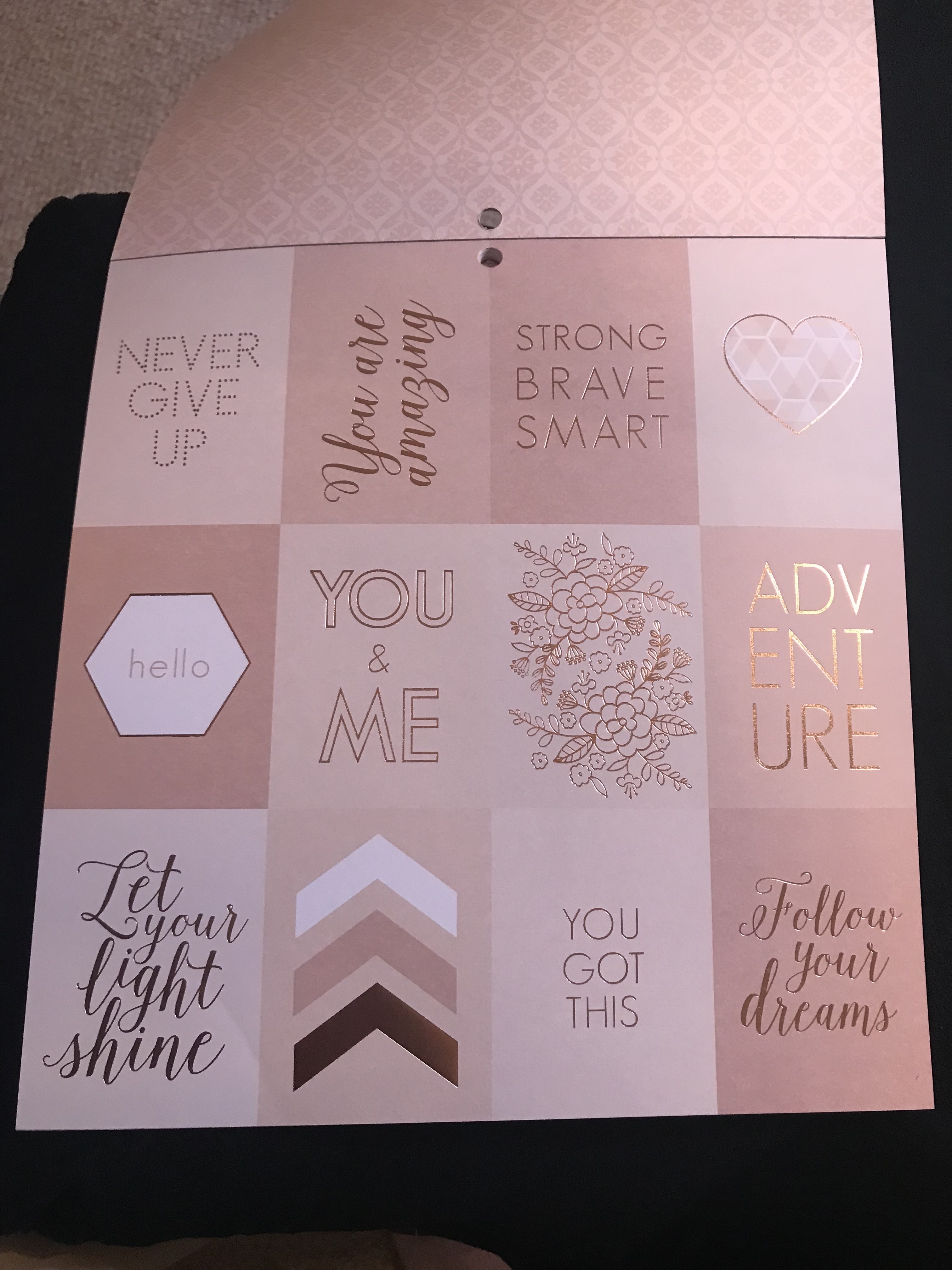 DCWV Rose Quartz Gold Paper Pad-Double Sided Cardstock -- Great