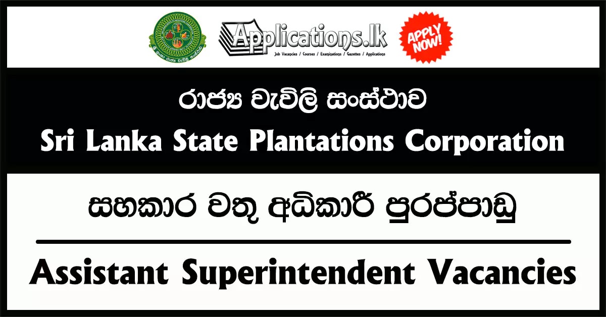 Assistant Superintendent Vacancies – Sri Lanka State Plantations Corporation 2023