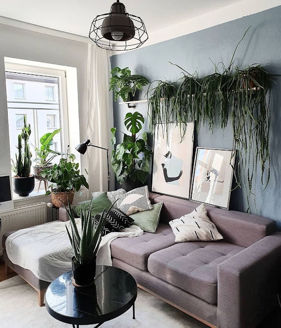 living room decor ideas with plants