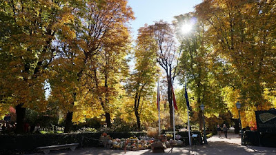 Jardín Botánico de Madrid