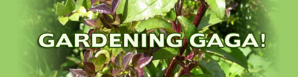 Gardening GaGa!