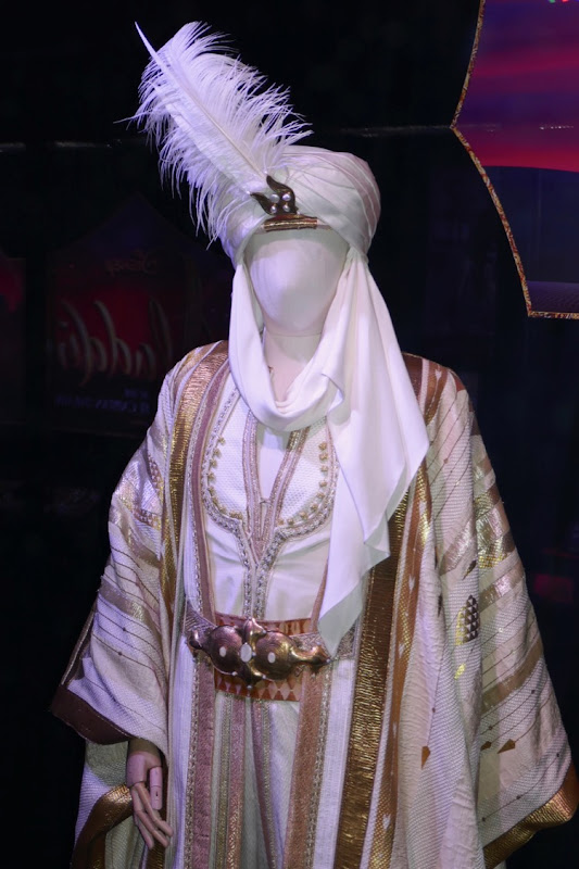 Prince Ali costume Aladdin