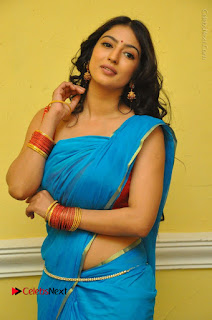 Telugu Actress Vaibhavi Stills in Blue Saree at Www.Meena Bazaar Movie Opening  0043.JPG