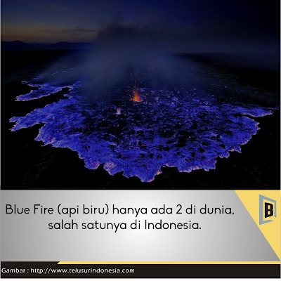 Bupugu - Blue Fire Kawah Ijen yang Menawan