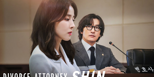 Divorce Attorney Shin Episode 8