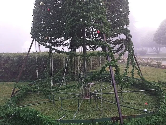 Osorno: Manifestaciones y "árbol de navidad" marcaron la jornada de este miércoles