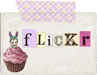my flickr