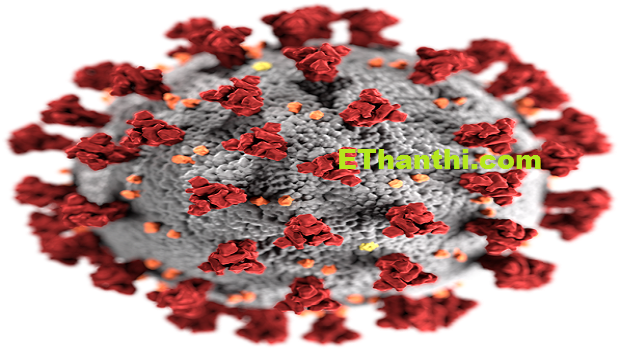 கொரோனா உடலுக்குள் நுழைஞ்சதுக்கு பிறகு என்ன செய்யும்?