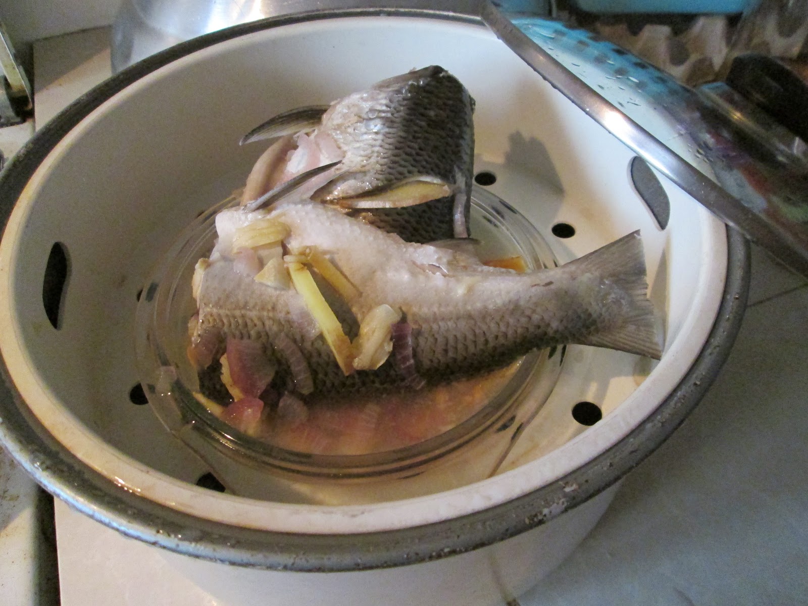 Aku GeMuk gEmPaL dan Montel: Resepi diet atkin- ikan susu 