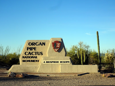 Organ Pipe Cactus National Monument