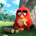 Behold the First Trailer of "The Angry Birds Movie"