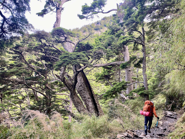 玉山步道