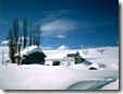 Christmas Wallpapers 30 hollywood desktop wallpapers
