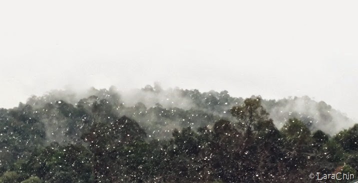 20140729_110125
