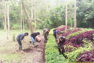 Indahnya Kawasan Taman diSitu Cisanti Berkat Sentuhan Tangan Tangan Satgas Citarum Sektor 1