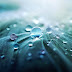 Nature Wallpaper Dew Blue 1215129