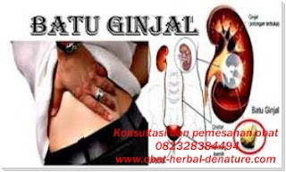 cara menghancurkan batu ginjal tanpa operasi,obat batu ginjal,obat kencing batu,cara mengeluarkan batu ginjal tanpa operasi,cara menghilangkan batu ginjal tanpa operasi