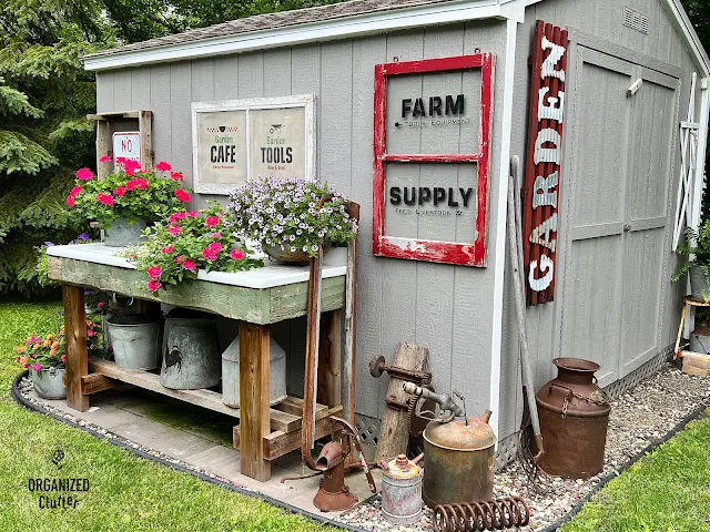 Photo of garden shed junk decor and plantings.