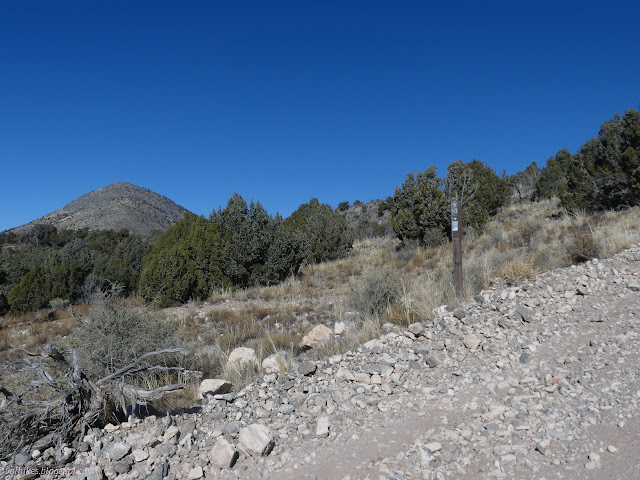 11: sign and trail invisible