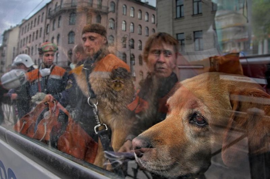 street photography by alexander petrosyan