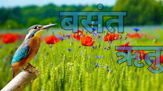 This image is of spring season used for marathi essay on Vasant rutu