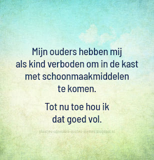 quotes nederlands afbeeldingen