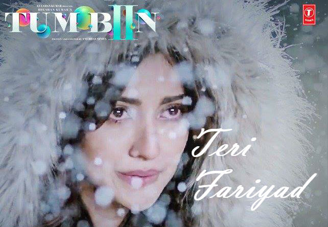 Teri Fariyad Lyrics from Tum Bin 2