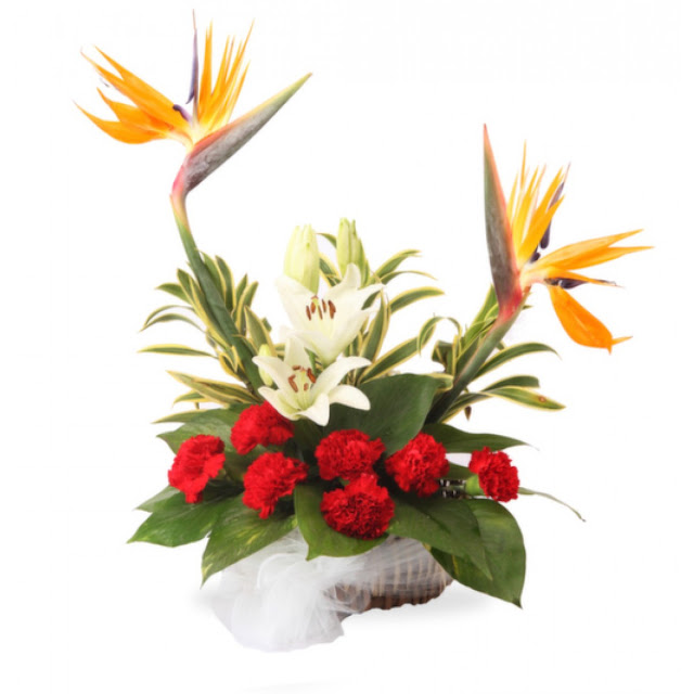 Birds Of Paradise Arrangements