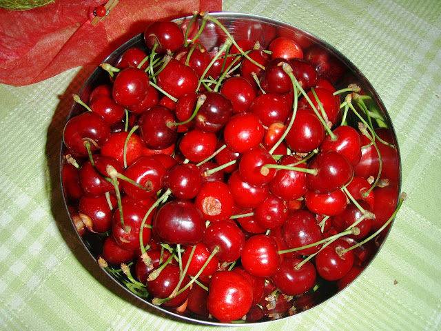 fresh cherries fruit photo