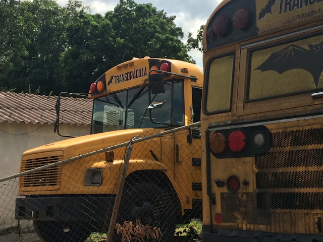 Hay muchos Transdrácula dañados en Carabobo y Lacava se lava las manos