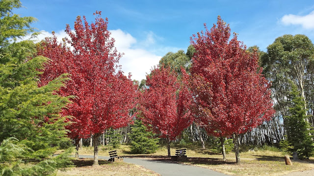 Memorial Cross, Mt Macedon