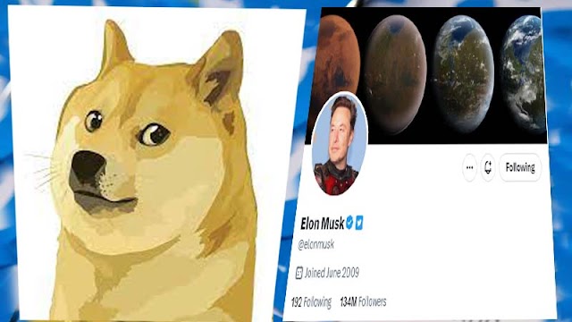 Elon Musk Turned the Twitter Logo into a Dog