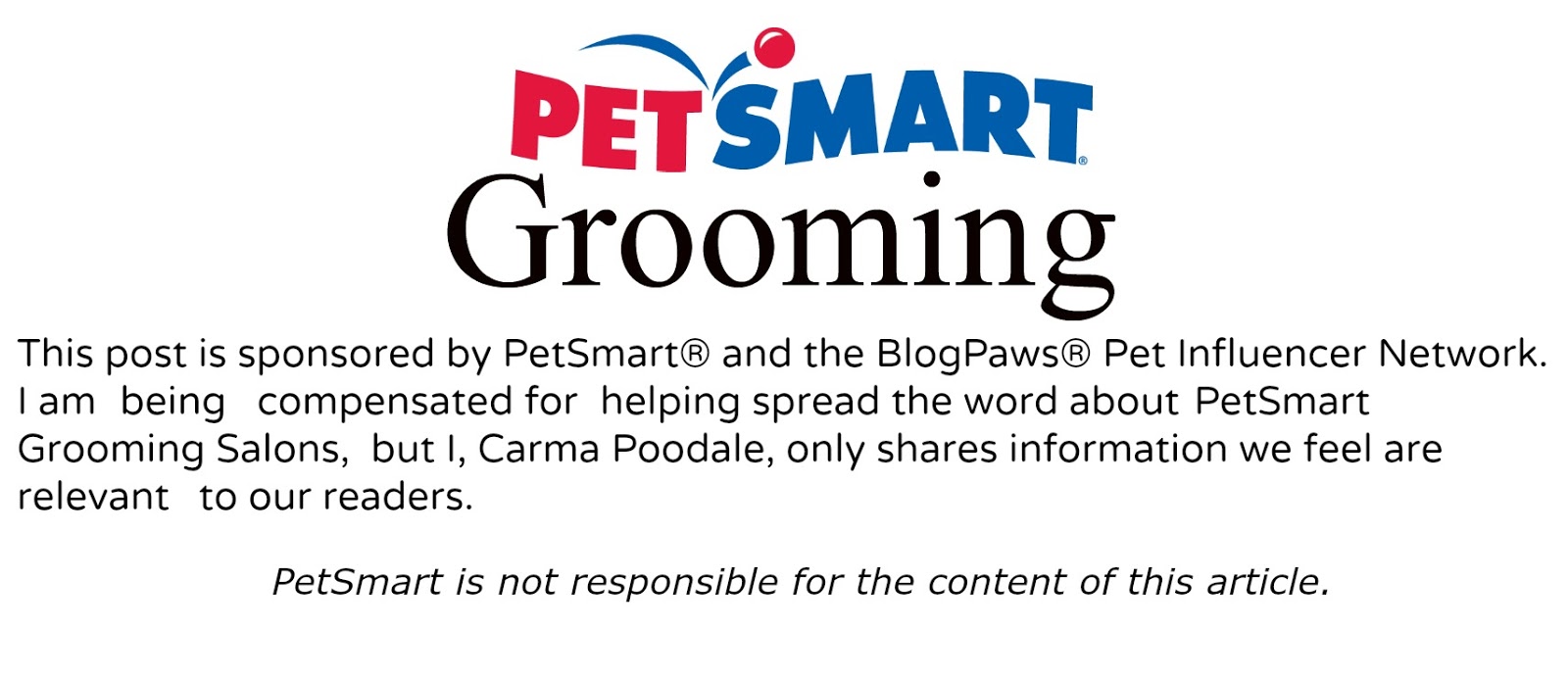 Carma Poodale Petsmartgrooming Make Me Feel Like A Top Dog