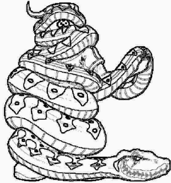 Download Coloring Pages: Snakes Coloring Pages Free and Printable