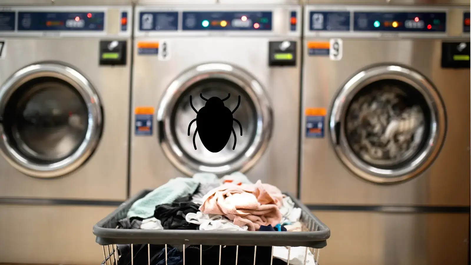 Students uncover security flaw that could allow millions to do their laundry for free