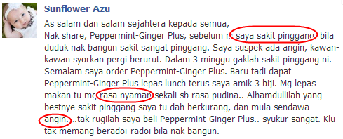 Testimoni Peppermint-Ginger Plus Shaklee