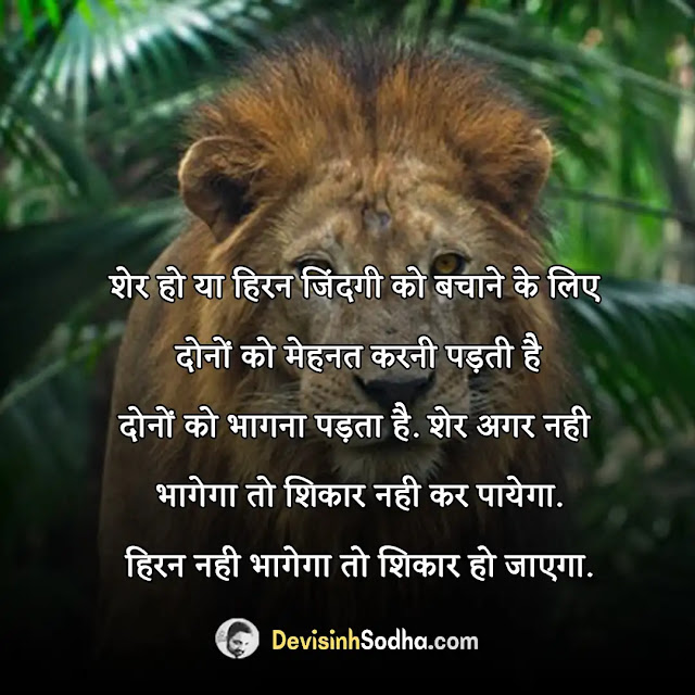 lion quotes in hindi, lion attitude status for whatsapp, बब्बर शेर स्टेटस इन हिंदी, शेर शेर होता है स्टेटस, शेर पर शायरी, शेर व्यक्ति के लिए स्टेटस, दहाड़ता शेर स्टेटस, शेर और गीदड़ की शायरी, घायल शेर पर शायरी, जंगली शेर पर शायरी