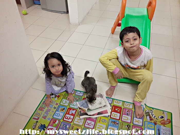 Berkongsi Rezeki dengan Kucing Mysweetzlife 