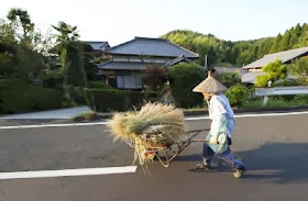 JAPAN AGRICULTURE