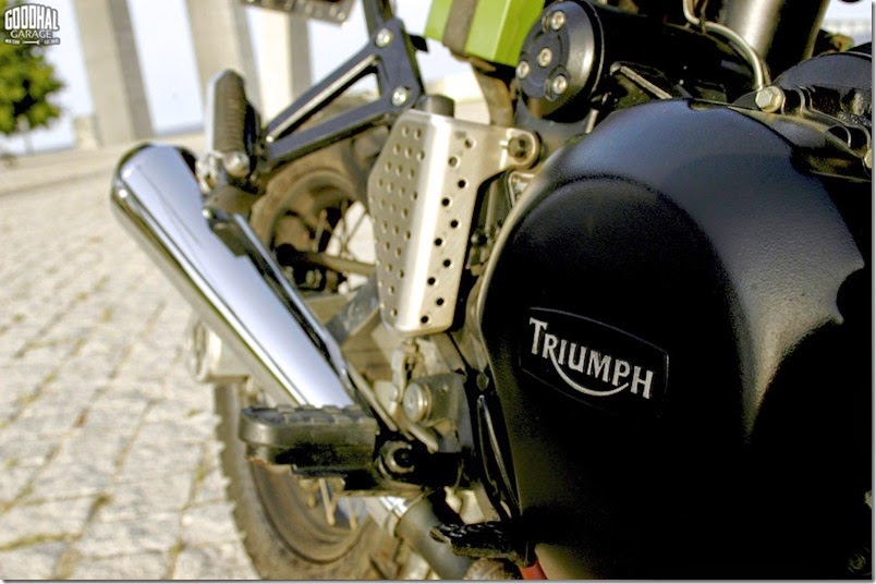 Tiger7