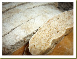 Ciabattine integrali con miele (8)
