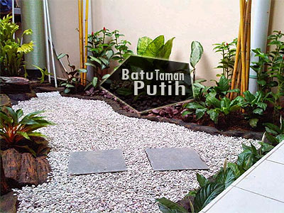 BATU KORAL HIAS TAMAN WARNA PUTIH