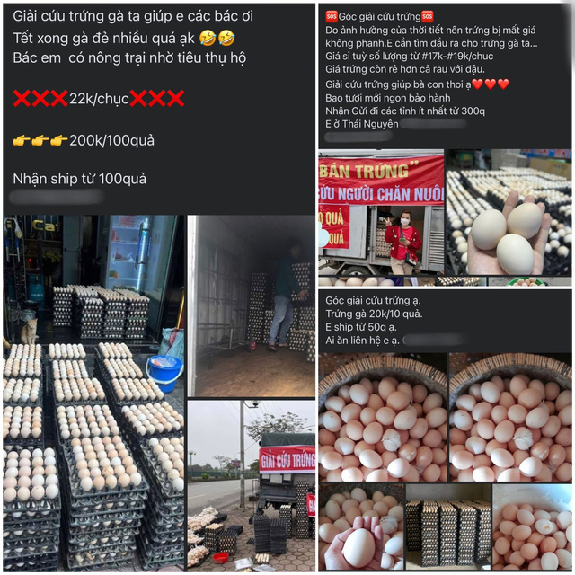 Thực hư trứng gà <a href=