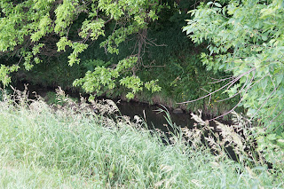 Taylor Massey Creek in Hydro Fields, Terraview Park